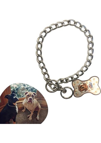 65 cm Uzunlukta Zincir model Köpek İçin Boyun Tasması