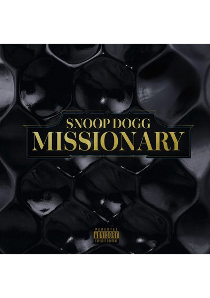 Snoop Dogg / Missionary (Plak)