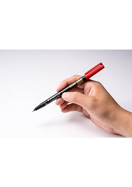 319 F2 Permanent Special Markör F Kırmızı F Uç modelleri