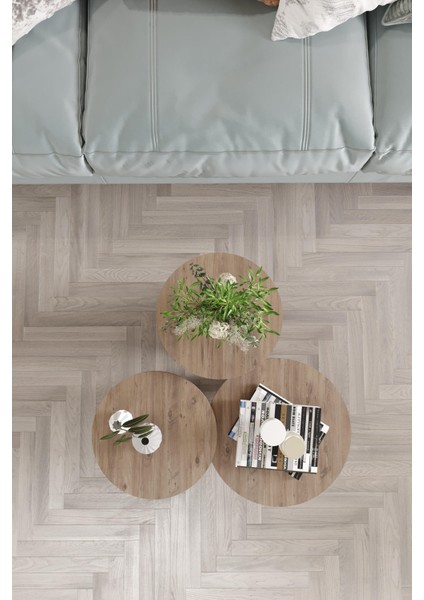 Wood Aria Mantar Sehpa 3'lü Set – Şık ve Fonksiyonel Zigon Sehpa, Yan Sehpa ve Orta Sehpa Takımı modelleri