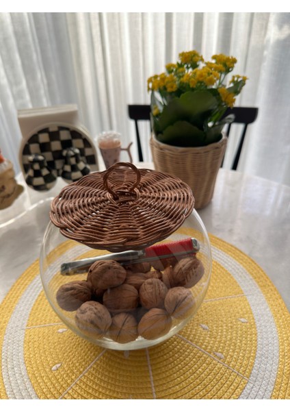 Bambu Kapaklı Cam Fanus Ceviz Renk fiyatları