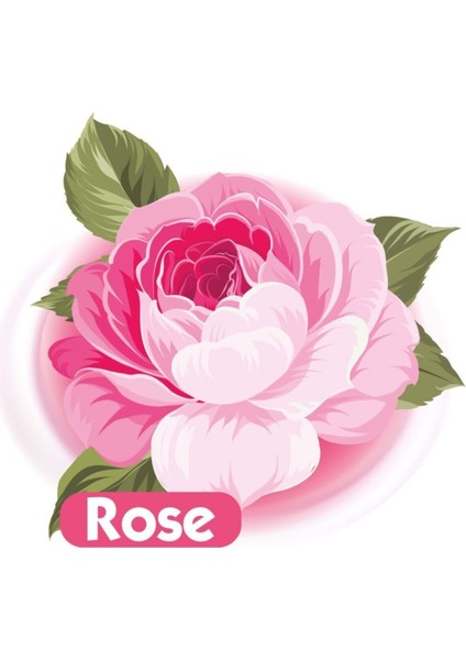 Gül Kokulu Islak Bebek Havlusu 12X90 Adet indirimleri