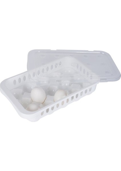 Hijyenik Yumurta Saklama Kabı 15 Bölmeli Kapaklı fırsatları