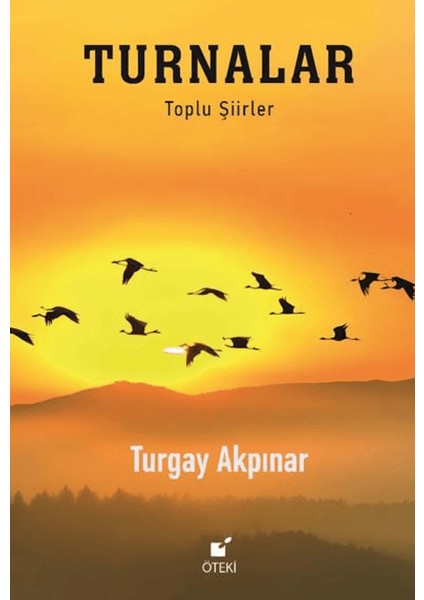 Turnalar (Toplu Şiirler) - Turgay Akpınar