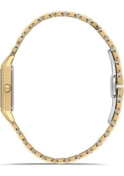 SS273T-02SG Kadın Kol Saati fiyatları