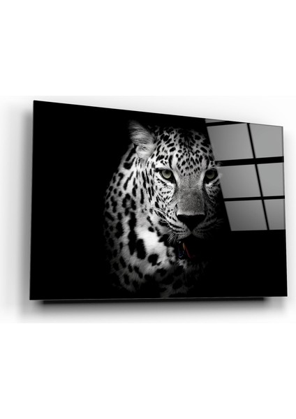 Kaplan Cam Tablo | Hediyelik, Dekoratif, Ofis, Mutfak