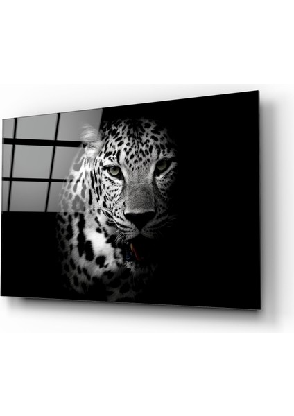 Kaplan Cam Tablo | Hediyelik, Dekoratif, Ofis, Mutfak fiyatları