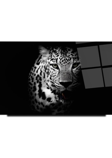 Kaplan Cam Tablo | Hediyelik, Dekoratif, Ofis, Mutfak modelleri