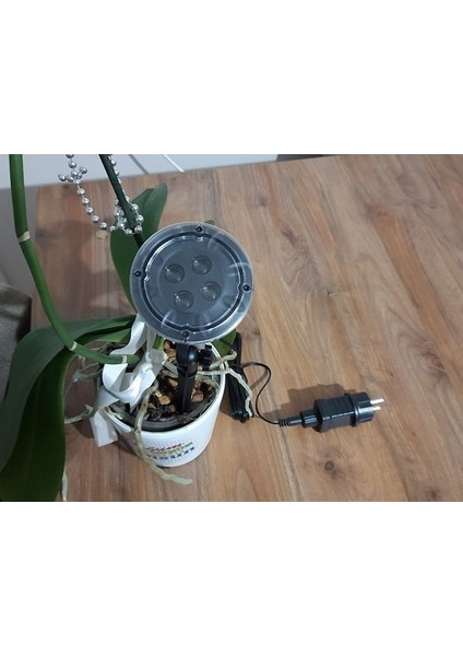 Peri LED Işık 5 Metre Beyaz Dekor Lambası 50 Ledli modelleri