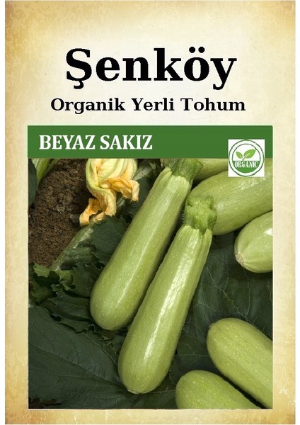 Yerli Beyaz Sakız Kabak Tohumu Doğal Ata Dolmalık Beyaz Kabak Tohumu Pakette 10 gr 80 Adet