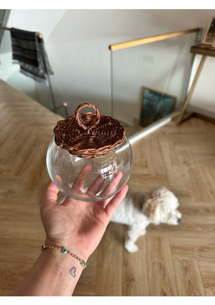 Bambu Kapaklı Mini Cam Fanus Ceviz Renk indirimleri