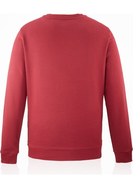 Galatasaray Erkek Sweatshirt E251076