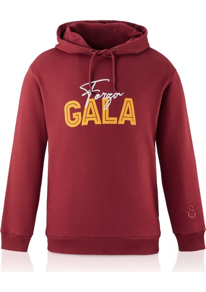 Galatasaray Gala Erkek Sweatshirt E242248