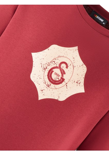Galatasaray Erkek Sweatshirt E251076