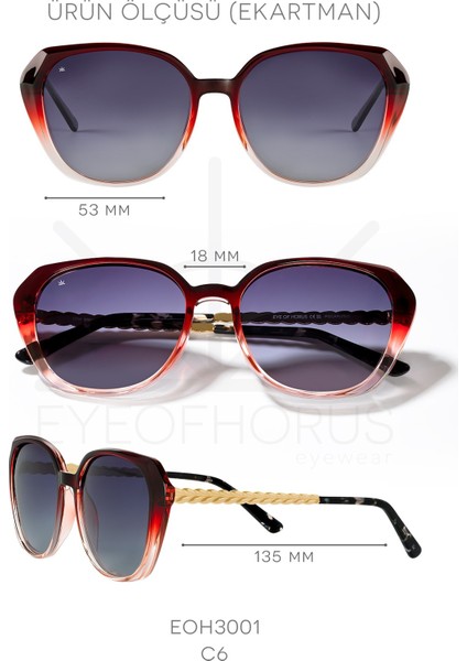 EOH3001 C6 Bordo Degrade Kadın Güneş Gözlüğü fırsatları