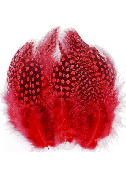 100 Pcs Decor Red Bırd Feather 100 Adet Puantiyeli Kırmızı Siyah Kuş Tüyü Dekor Kırmızı Kuş Tüyü
