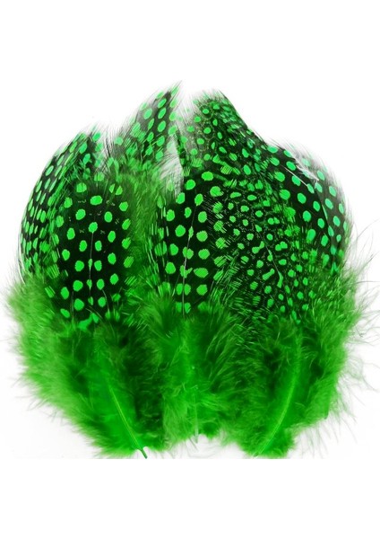 100 Pcs Decor Green Bırd Feather 100 Adet Puantiyeli Yeşil Siyah Kuş Tüyü Dekor Yeşil Kuş Tüyü