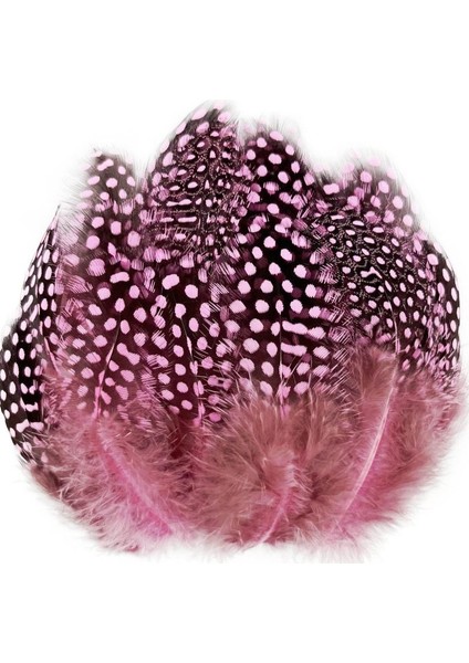 100 Pcs Decor Pink Bırd Feather 100 Adet Puantiyeli Pembe Siyah Kuş Tüyü Dekor Pembe Kuş Tüyü