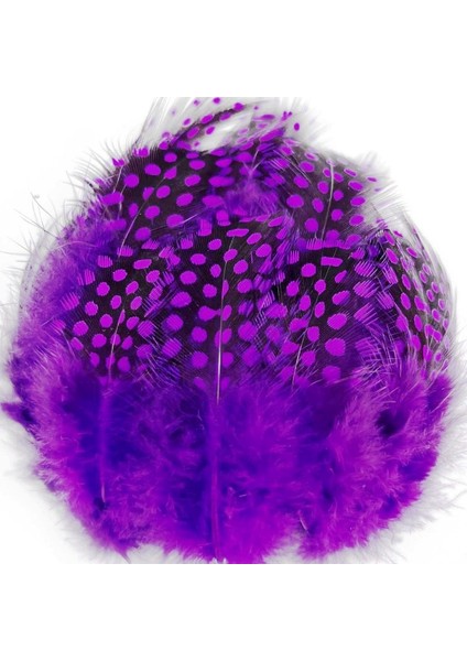 100 Pcs Decor Purple Bırd Feather 100 Adet Puantiyeli Mor Siyah Kuş Tüyü Dekor Mor Kuş Tüyü