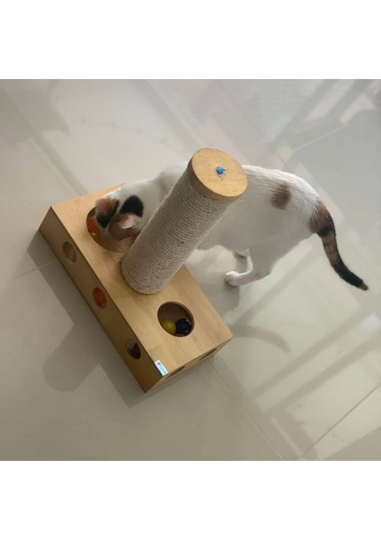 İnteraktif Kedi Oyuncak Tırmalama