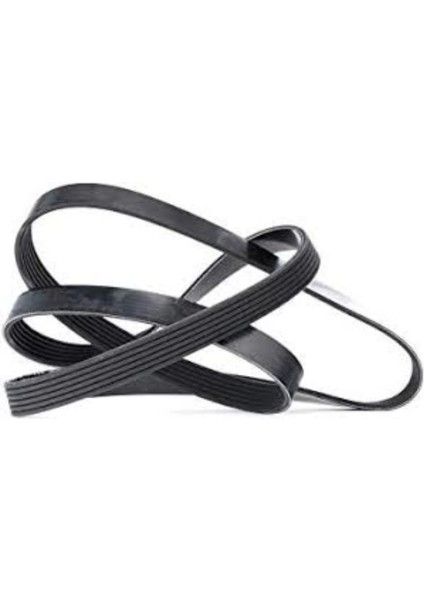 V Kayışı- 6PK1565 Wisco-Nemo Xsara Fıorıno Bıpper Partner Uyumlu