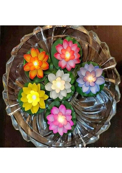 Dekor Düğün Mumları 6 Adet Işıklı Su Mumu Suda Yüzen Lotus Çiçekleri Pilli Mum Water Floating Candle