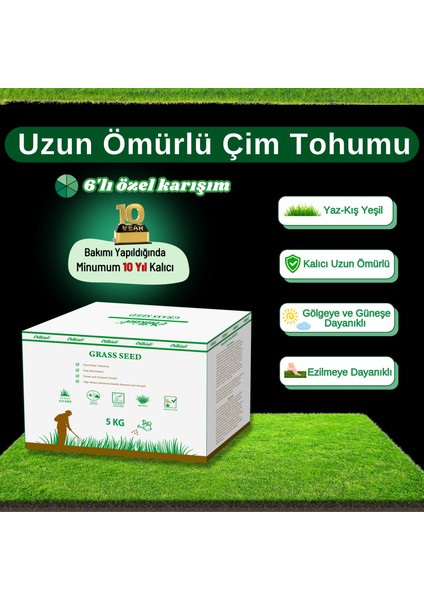 Çok Yıllık Çim Tohumu 5 kg Uzun Ömürlü 6'lı Karışım Gölge ve Aşırı Güneşli Alan Uygun Yetiştirilmesi Kolay 4 Mevsim Yeşil