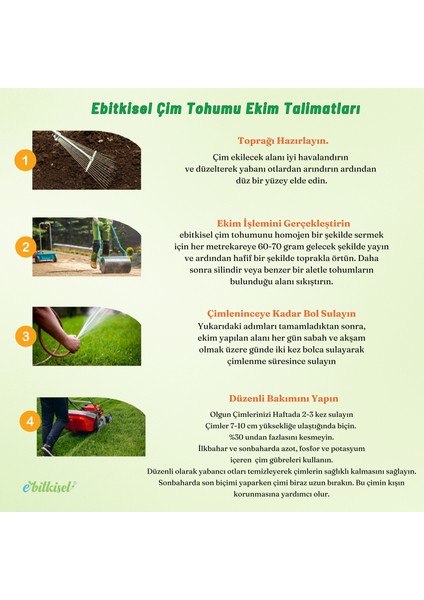 Çok Yıllık Çim Tohumu 5 kg Uzun Ömürlü 6'lı Karışım Gölge ve Aşırı Güneşli Alan Uygun Yetiştirilmesi Kolay 4 Mevsim Yeşil