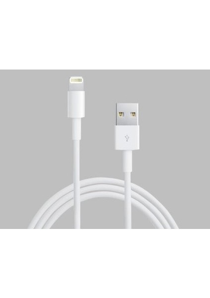 iPhone 7 ve 7 Plus Data Kablosu modelleri