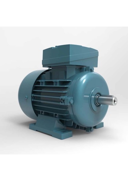 Volt 3 Kw (4 Hp) 3000 D/d (Vssa 100 L4B-B3) 220 230 Volt Monofaze B3 - Ayaklı Standart
