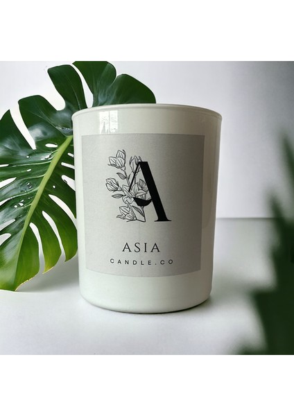 Asiacandleco Bardak Soya Mum