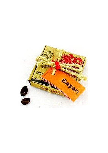 Oz cm ax Dilek Tohumları - Başarı