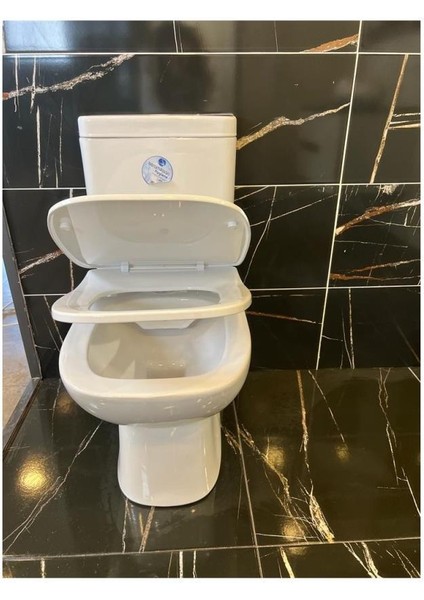 Petite Kanalsız Rim-Ex Duvara Sıfır Klozet + Yavaş Kapanır Kapak + Vitra Iç Takım Set