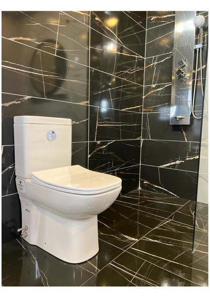 Petite Kanalsız Rim-Ex Duvara Sıfır Klozet + Yavaş Kapanır Kapak + Vitra Iç Takım Set