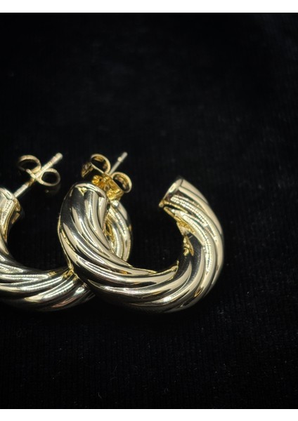 Altın Kaplama Burgu Halka Küpe fiyatları