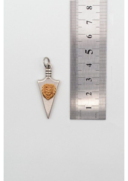 Ok Ucu Aslan Figürlü Gümüş Kaplama Kolye Ucu fiyatları