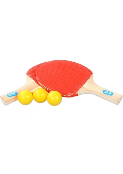 Masa Tenisi Seti (2 Raket + 3 Top) (4987) fiyatları
