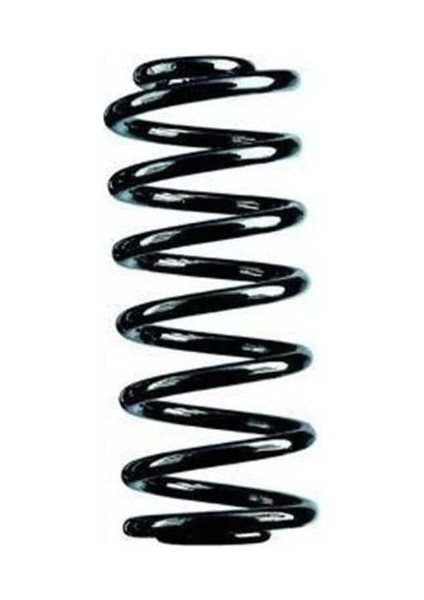 CRX-21481 - Helezon Yayı Arka Tempra