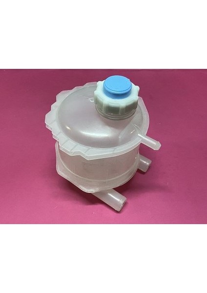 -07012031 - Radyatör Yedek Su Deposu Kapaklı R11 R19 Clıo I Express