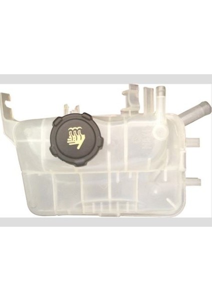 -07015211 - Genlesme Kavanozu ( Radyator Ek Depo ) Fluence Megane Iıı