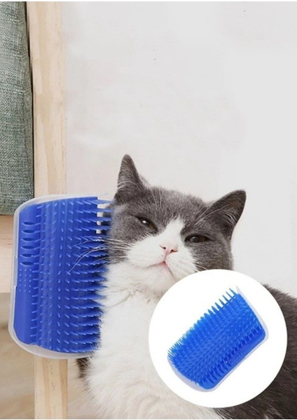 Duvara Sabitlenen Kedi Kaşınma Aparatı
