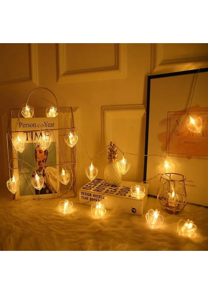 Heart Photo Clip String LED Warm Light Gün Işığı Pilli Kalpli Mandal LED Işık 2 Metre Gün Işığı LED