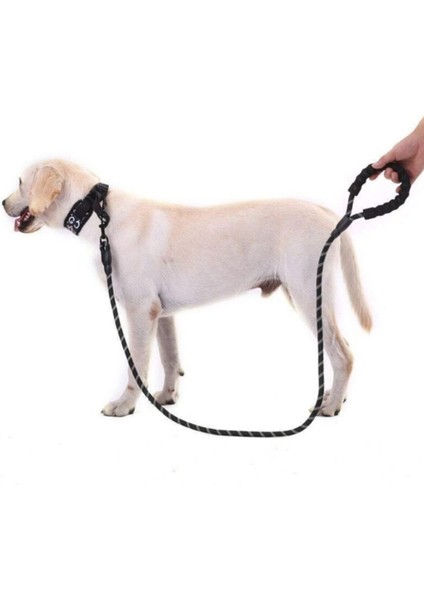 Kolay Kullanım Büyük Köpekler İçin Uygundur Köpek Tasması Reflektör Gece