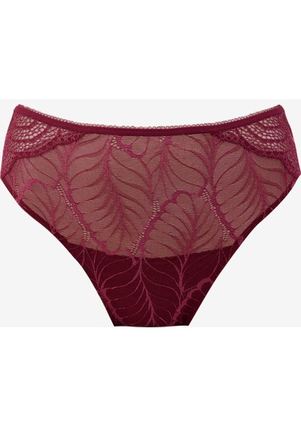 Bordo Kadın Bikini Külot 60802