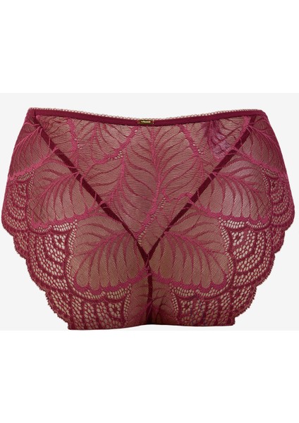 Bordo Kadın Bikini Külot 60802 fiyatları