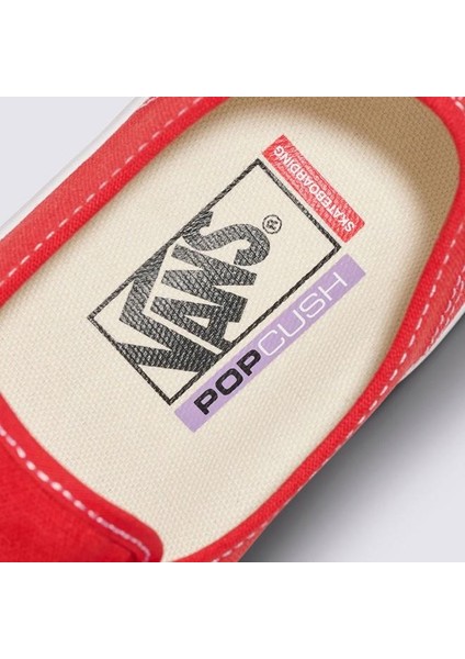 Skate Authentic