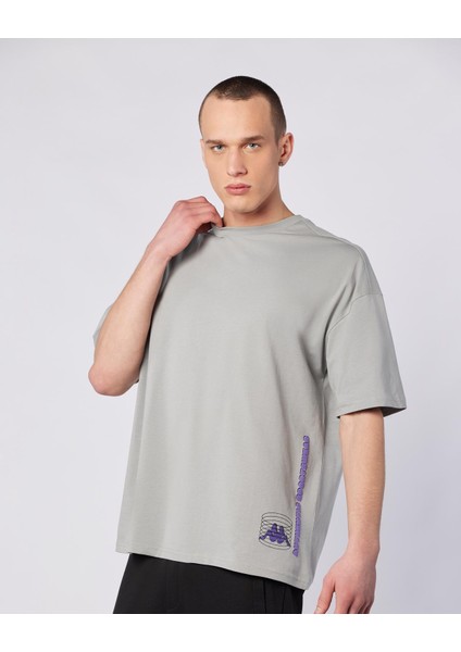 Bento Tshirt Erkek Gri Regular Fit Tişört modelleri