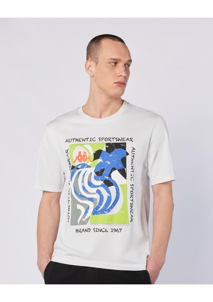 Hibbs Tee Erkek Gri Comfort Fit Tişört