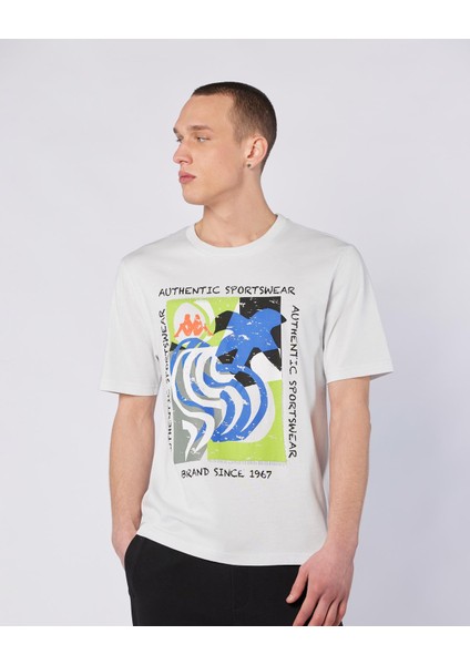 Hibbs Tee Erkek Gri Comfort Fit Tişört modelleri
