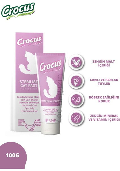 Kedi Sterilised Malt Macunu 100 gr